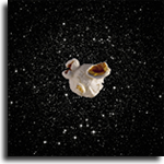 Mission Rosetta, Radar Suzuki